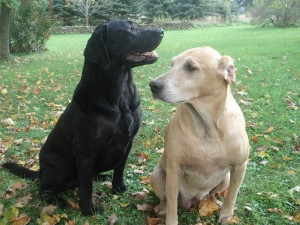 Colby and Kaylee  Photo