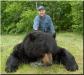 Howley Newfoundland, Canada, NY Thumbnail 3