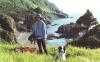 Howley Newfoundland, Canada, NY Thumbnail 4