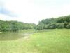 125 Acres Babcock Hill Road, West Winfield, NY 13491 Thumbnail 0