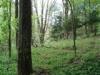 125 Acres Babcock Hill Road, West Winfield, NY 13491 Thumbnail 2