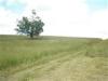 125 Acres Babcock Hill Road, West Winfield, NY 13491 Thumbnail 4