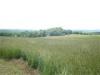 125 Acres Babcock Hill Road, West Winfield, NY 13491 Thumbnail 5