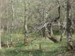 Pike Road, Mcdonough, NY 13801
