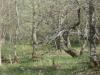 Pike Road, Mcdonough, NY 13801 Thumbnail 0