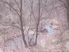 133 Acres 355 County Road 50, Cherry Valley, NY 13320 Thumbnail 2