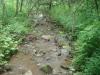 133 Acres 355 County Road 50, Cherry Valley, NY 13320 Thumbnail 15