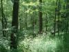 133 Acres 355 County Road 50, Cherry Valley, NY 13320 Thumbnail 16