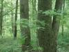 133 Acres 355 County Road 50, Cherry Valley, NY 13320 Thumbnail 17
