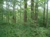 133 Acres 355 County Road 50, Cherry Valley, NY 13320 Thumbnail 19