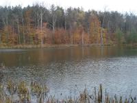 50 Acres Backus And Jones Road, New Lisbon, NY 13333