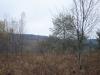50 Acres Backus And Jones Road, New Lisbon, NY 13333 Thumbnail 1