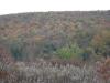 50 Acres Backus And Jones Road, New Lisbon, NY 13333 Thumbnail 4