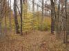 50 Acres Backus And Jones Road, New Lisbon, NY 13333 Thumbnail 13
