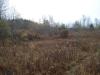 50 Acres Backus And Jones Road, New Lisbon, NY 13333 Thumbnail 16