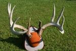3491 Mahogany St., Isle, MN 56342 Thumbnail