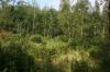 xxx 250th Ave, Mora, MN 55051 Photo 1