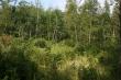 xxx 250th Ave, Mora, MN 55051