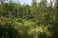 xxx 250th Ave, Mora, MN 55051