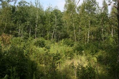 xxx 250th Ave, Mora, MN 55051