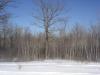 xxx 250th Ave, Mora, MN 55051 Photo 2