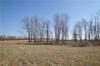 Gnat Hill Rd, Manchester, TN 37355 Photo 6