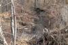 502 Urban Farms Rd, Manchester, TN 37355 Photo 9
