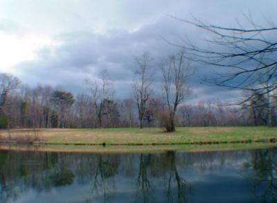 Layne Circle, Palmer, TN 37365