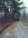 Layne Circle, Palmer, TN 37365 Photo 2