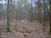 Layne Circle, Palmer, TN 37365 Photo 3