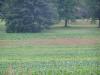 Moyer's Station Rd., Schuylkill Haven, PA 17972 Photo 3