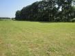 Love Lane Road, Hillsboro, TN 37355
