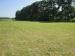 Love Lane Road, Hillsboro, TN 37355
