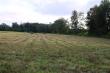 Williams Rd (tract 19), Manchester, TN 37355