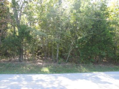 Riddle Road, Manchester, TN 37355