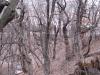 6632 102nd St Nw, Maple Lake, MN 55358 Photo 2