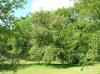 6632 102nd St Nw, Maple Lake, MN 55358 Photo 17