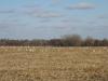 6632 102nd St Nw, Maple Lake, MN 55358 Photo 20